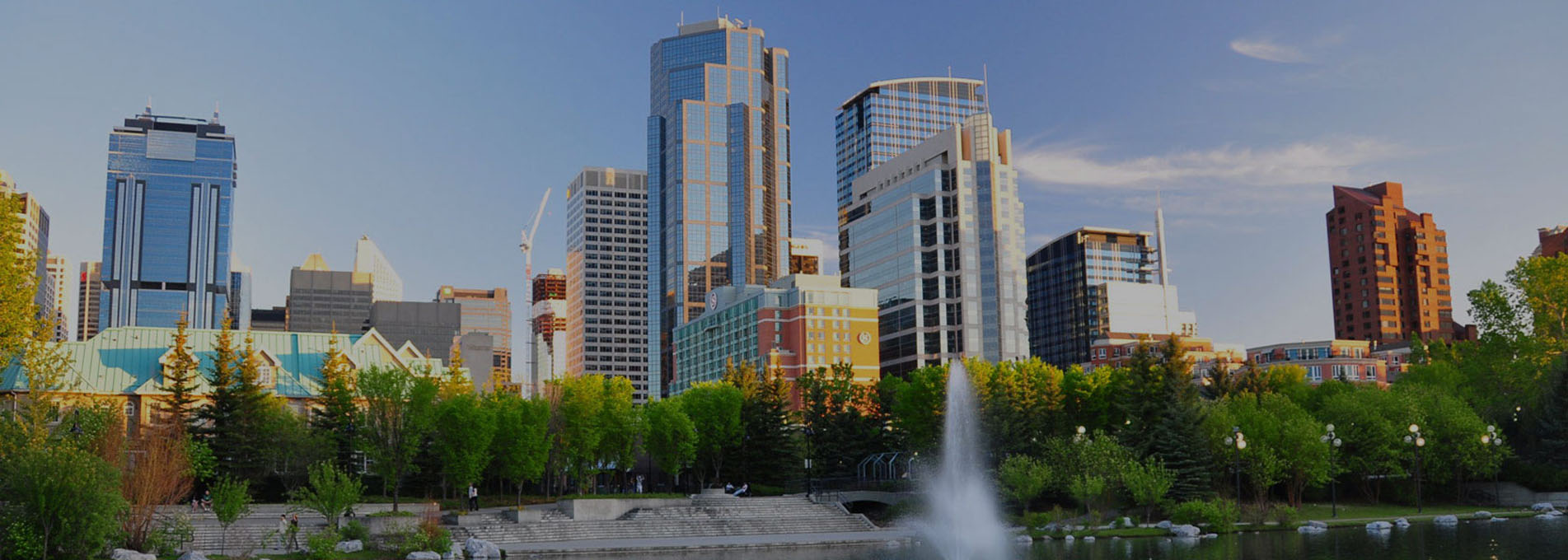 banner1
